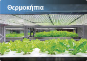 Intelligent Agriculture - Download pdf